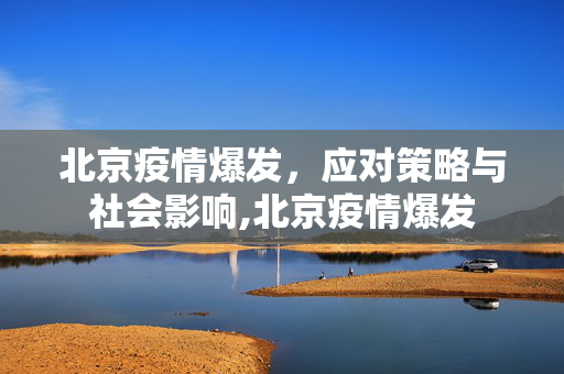 北京疫情爆发，应对策略与社会影响,北京疫情爆发
