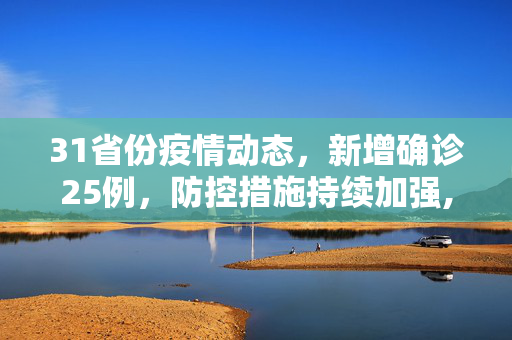 31省份疫情动态，新增确诊25例，防控措施持续加强,31省份新增确诊25例