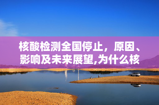 核酸检测全国停止，原因、影响及未来展望,为什么核酸检测全国停止了