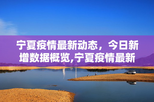 宁夏疫情最新动态，今日新增数据概览,宁夏疫情最新数据消息今天新增