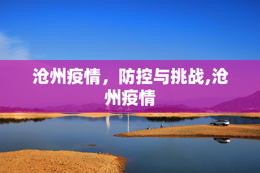 沧州疫情，防控与挑战,沧州疫情