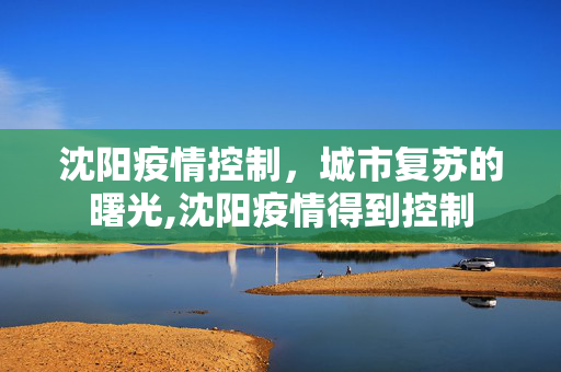 沈阳疫情控制，城市复苏的曙光,沈阳疫情得到控制