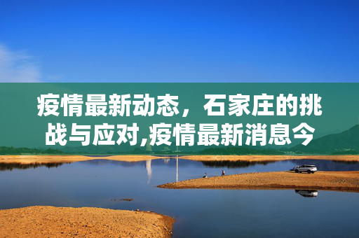 疫情最新动态，石家庄的挑战与应对,疫情最新消息今天河北石家庄